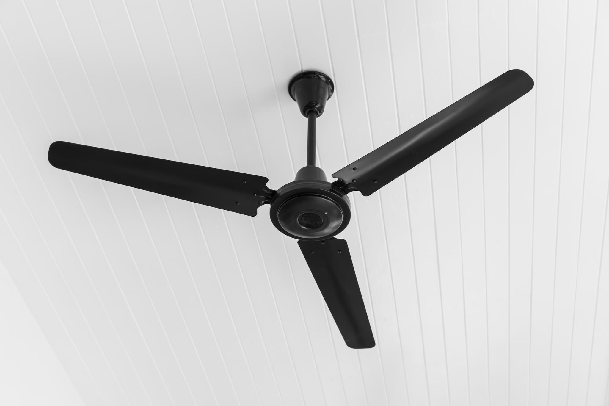 outdoor ceiling fan installation sydney